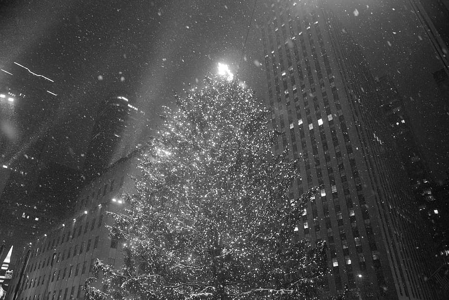 nyc, new york, christmas, snow, winter, new york city, night, HD wallpaper