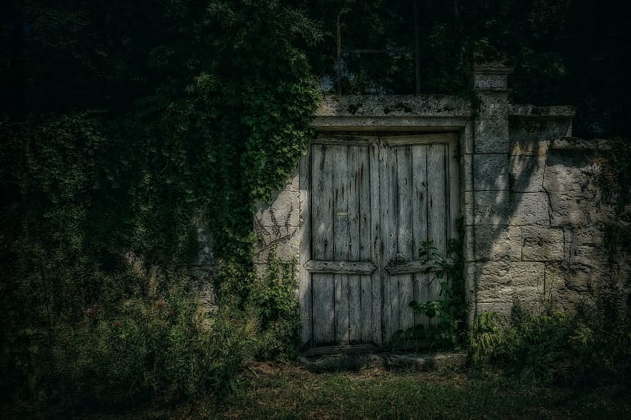 goal, gate, input, old, wood, night, dark, mystical, weathered HD wallpaper