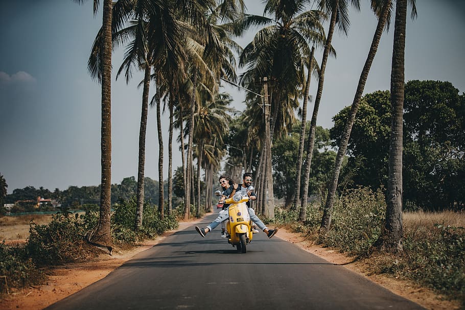 Woman and Man Riding on Motorcycle, coconut trees, couple, daylight HD wallpaper