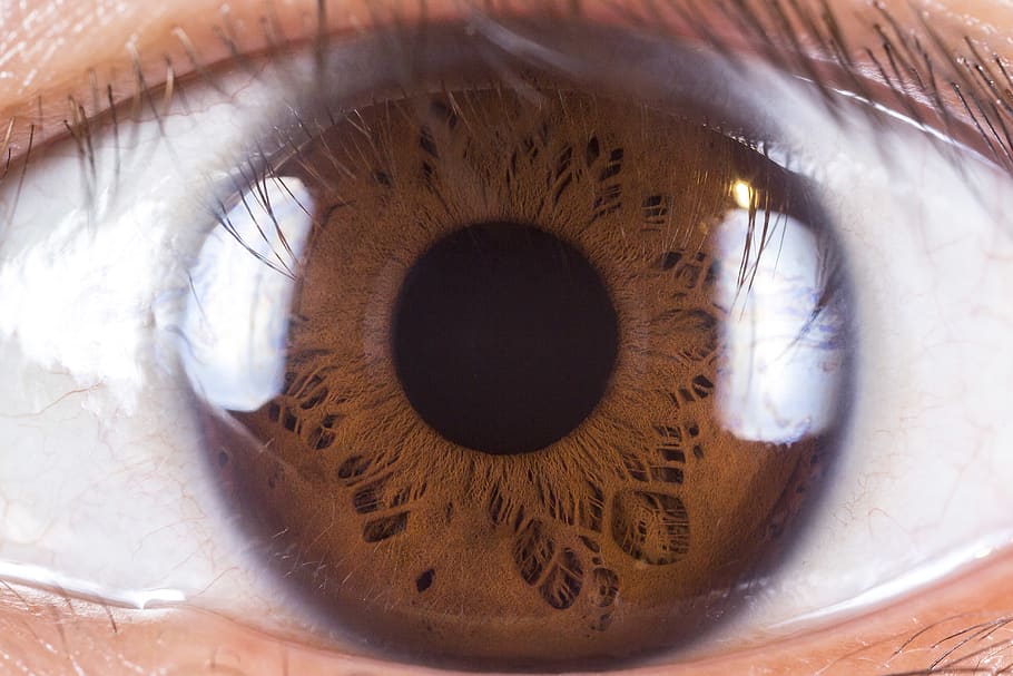 human eye close-up photo, contact lens, mongolia, ulaanbaatar