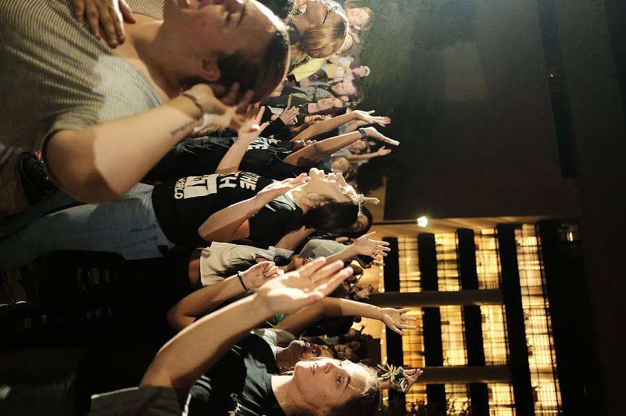 people raising hands during night time, real people, group of people HD wallpaper