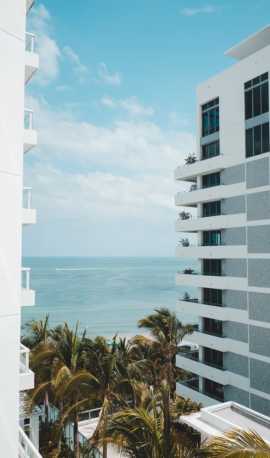 beach view from the hotel window, home decor, plant, summer, tree HD wallpaper