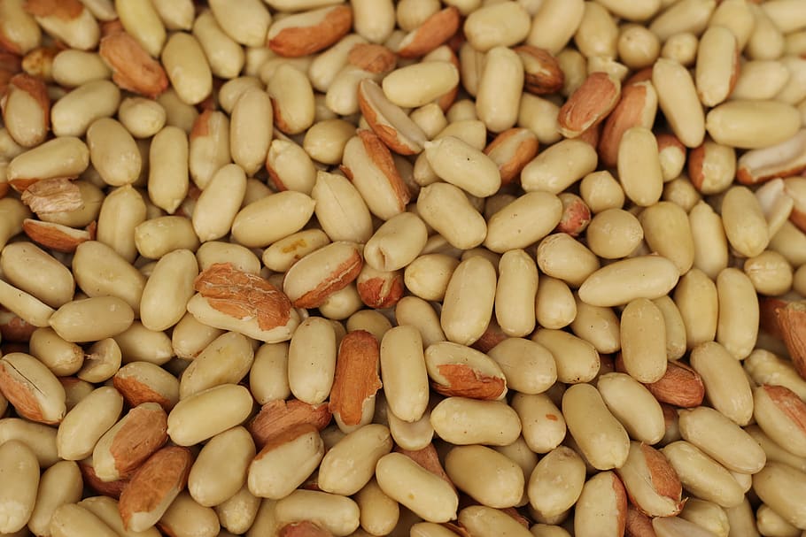 fruit, peanuts, healthy, food, food and drink, full frame, backgrounds HD wallpaper