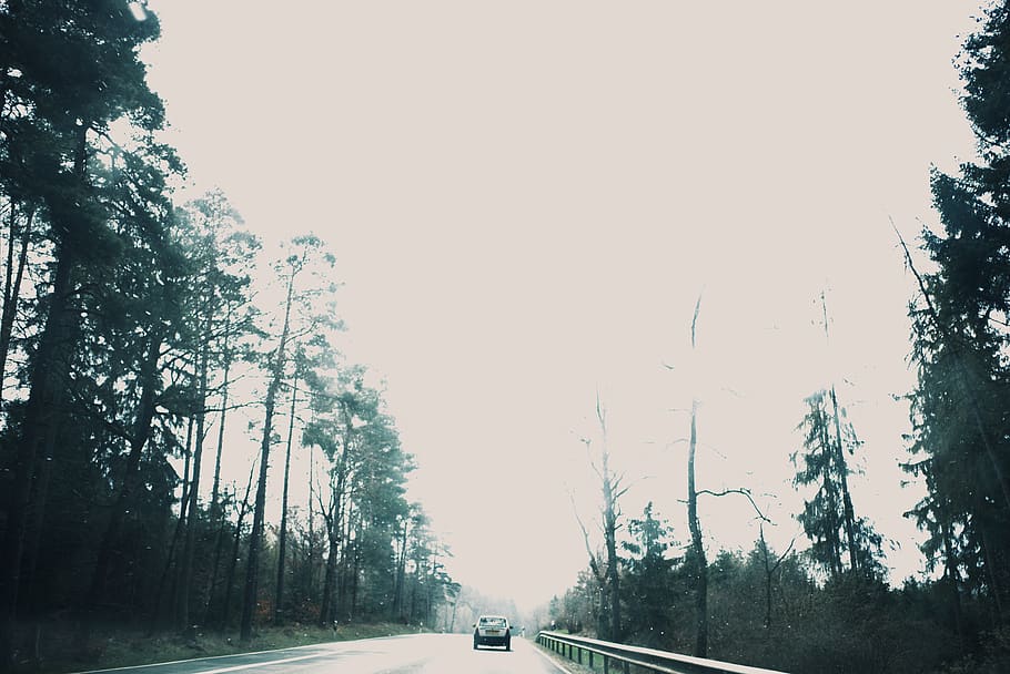 way, highway, tree, plant, asphalt, tarmac, car, automobile HD wallpaper