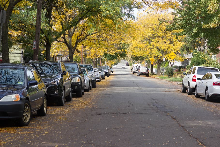 new, jersey, autumn, fall, trees, street, cars, beautiful, transportation HD wallpaper