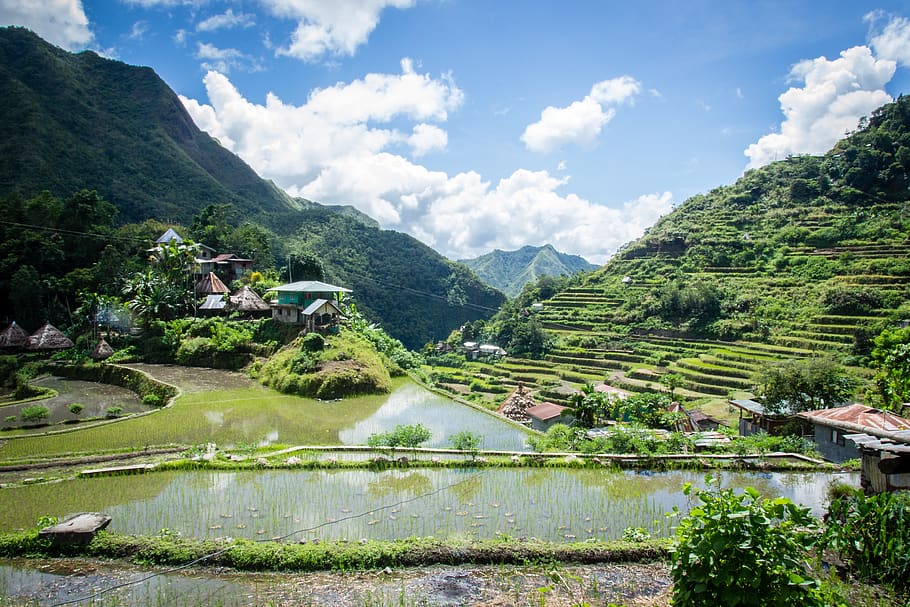 philippines, rice terraces, batad, water, scenics - nature HD wallpaper