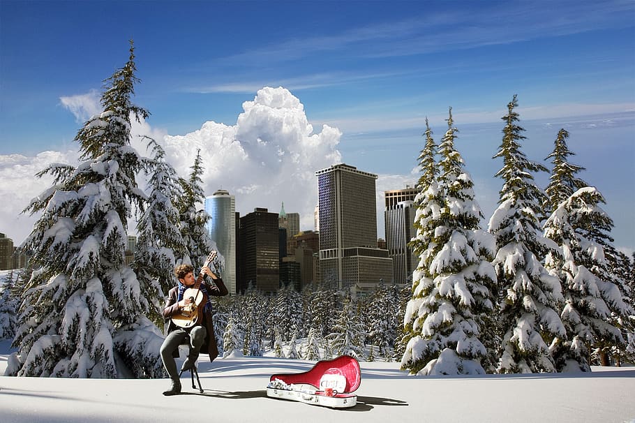 winter, snow, tree, fir, cold, outdoor, spruce, sky, music HD wallpaper