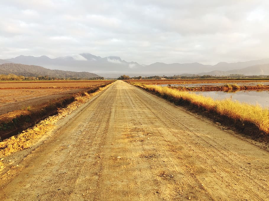 road, landscape, nature, sky, environment, the way forward HD wallpaper
