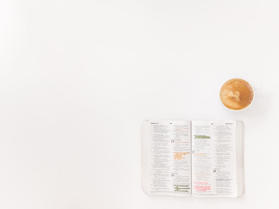 opened Holy Bible, food and drink, white background, studio shot HD wallpaper