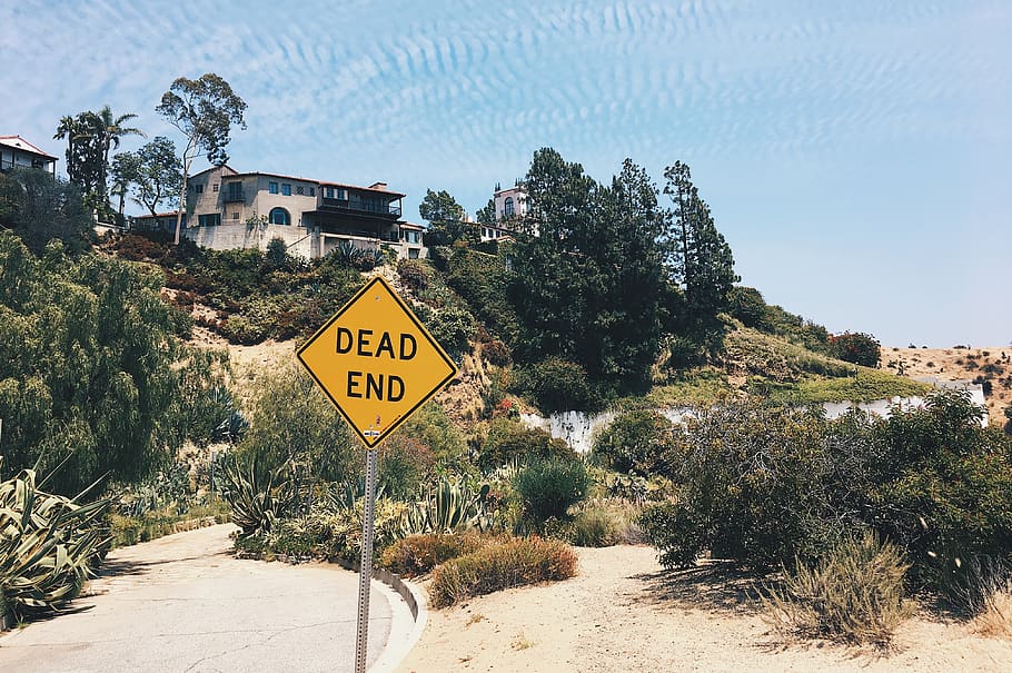 Dead End signage post, communication, tree, text, plant, road HD wallpaper