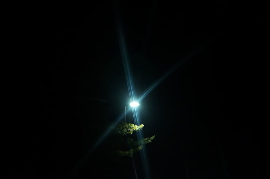 trees, low light, night, copy space, lens flare, nature, lighting equipment HD wallpaper