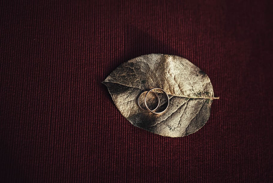 two silver-colored rings on gray leaf, close-up, brown, indoors HD wallpaper