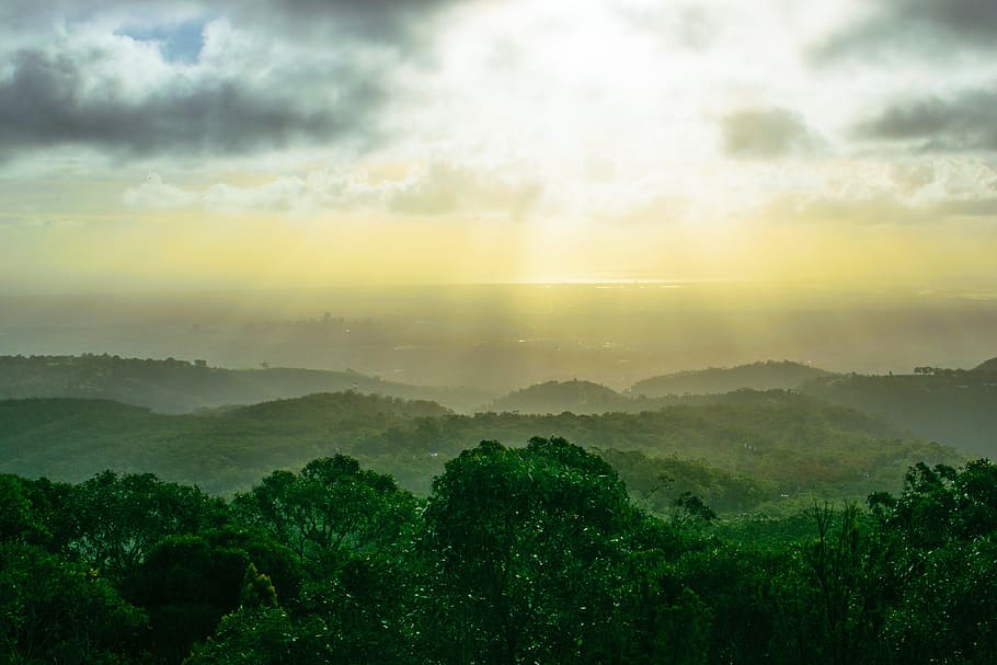 storm, clouds, sun, forest, adelaide, mist, beauty in nature HD wallpaper
