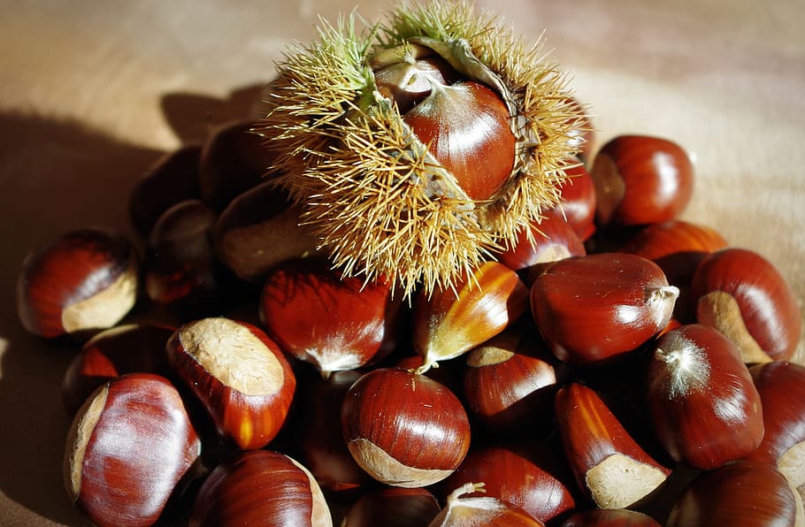 sweet chestnuts, maroni, autumn decoration, nutrition, brown, HD wallpaper