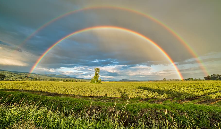 green grass field, pitt meadows, 20063 mcneil rd, canada, outdoors HD wallpaper