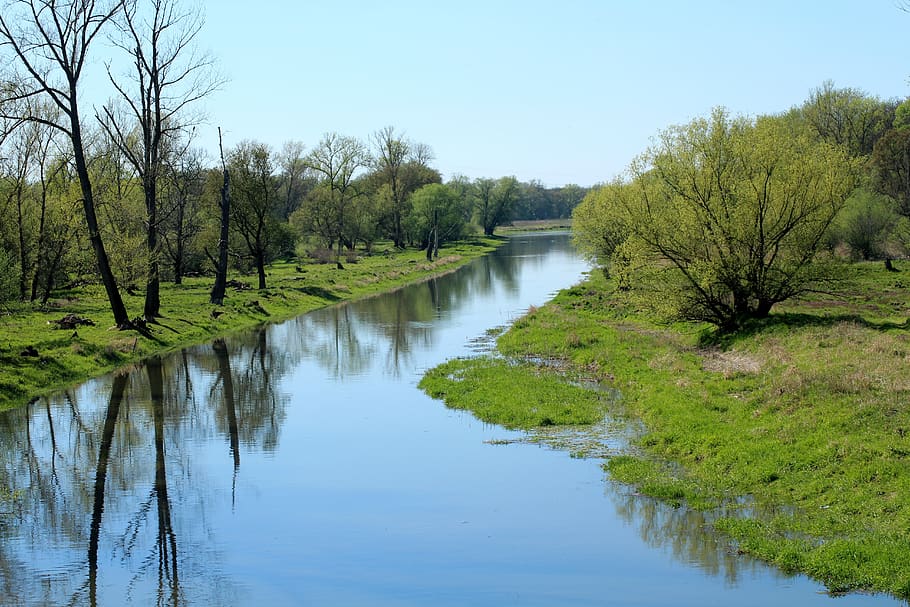 landscape, scenery, spring, green, water, tributary of the odra HD wallpaper