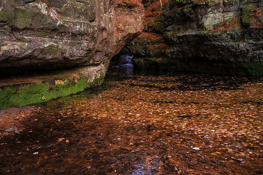 Rock Formation on Body of Water Covered With Leaves, colors, maple HD wallpaper
