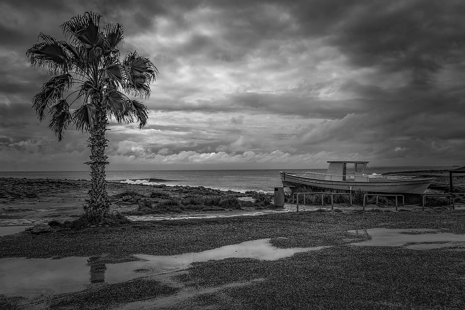 rainy day, beach, boat, palm tree, winter, scenery, sky, clouds, HD wallpaper