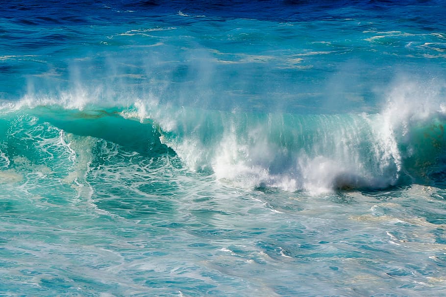 wave, ocean, nature, curl, sea, water, splash, outdoors, beach
