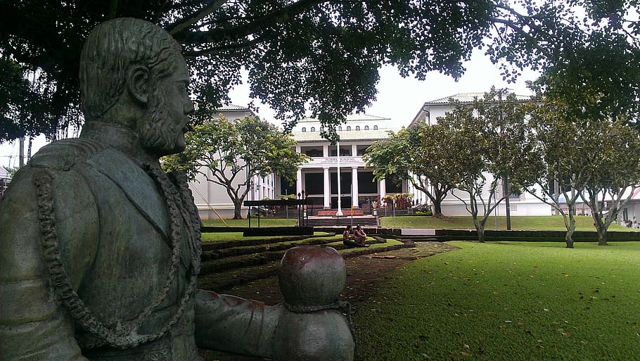 Us king. Гавайи статуи. David Kalakaua Kawananakoa. King David Carmel.