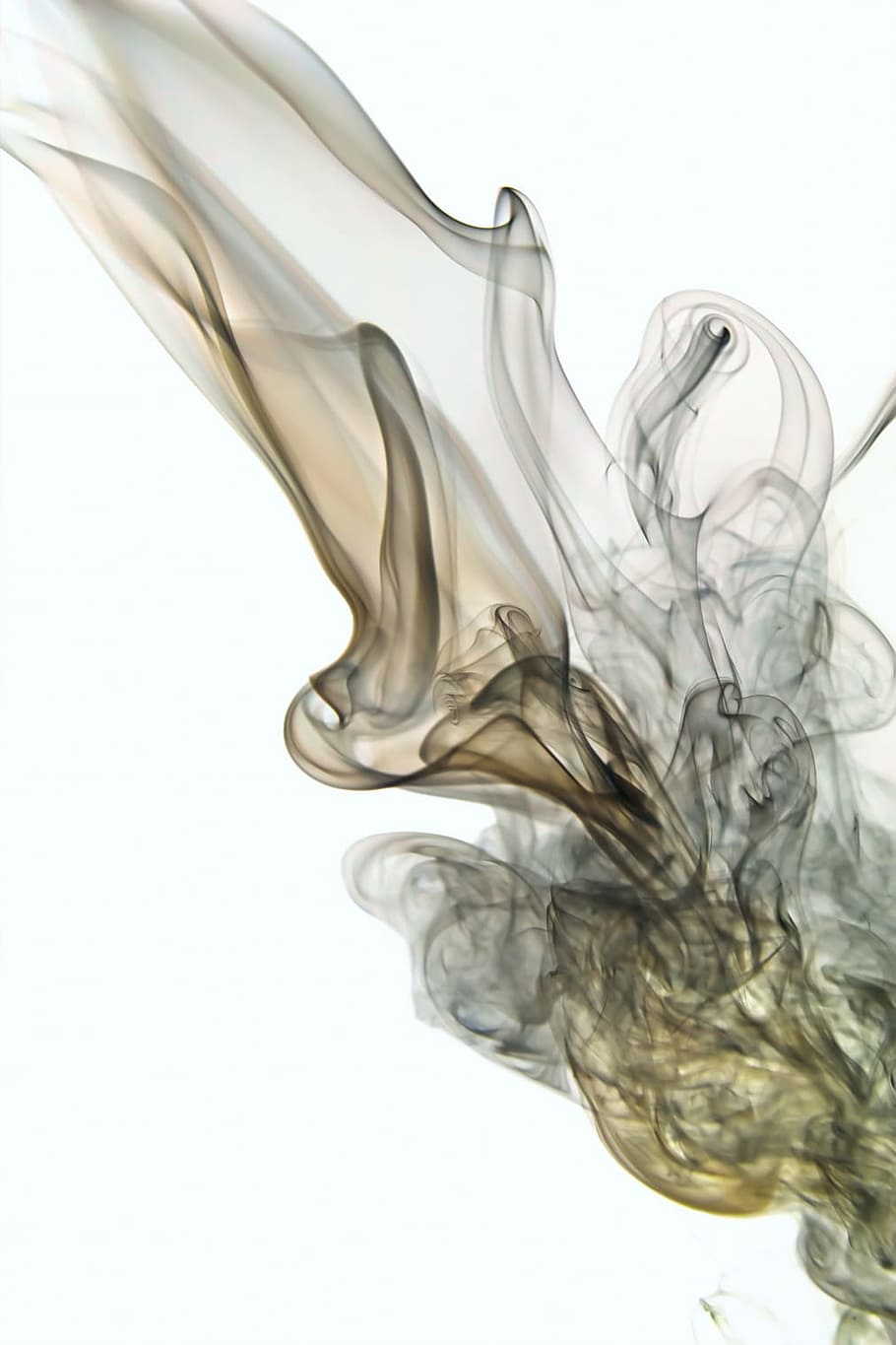 abstract, aroma, white, aromatherapy, background, color, smell HD wallpaper