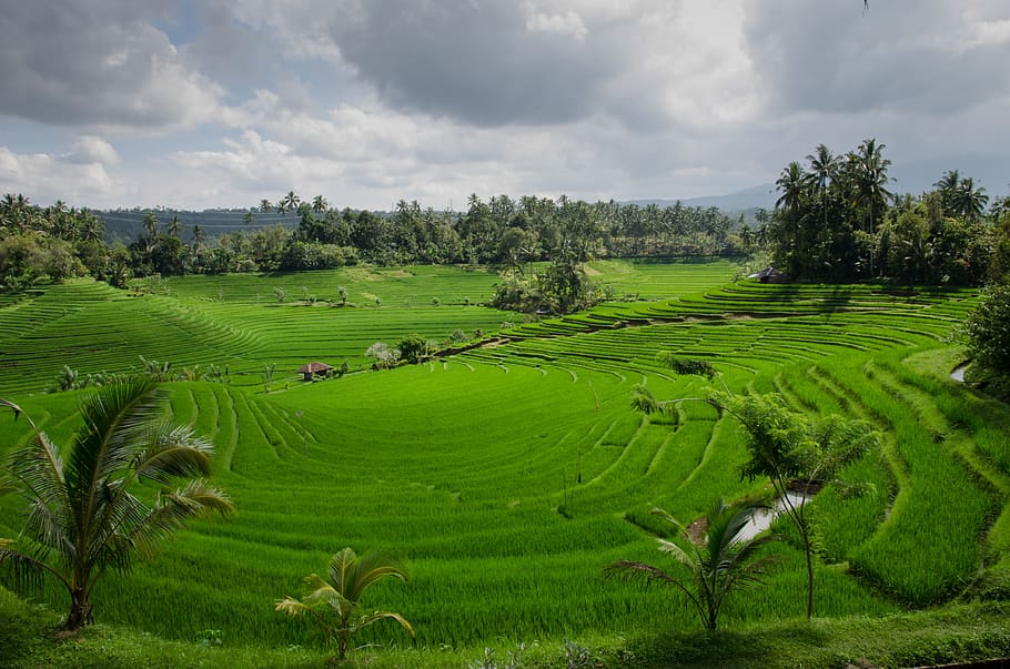 Tilt-shift Photography of Scenery, asia, bali, clouds, cloudy HD wallpaper
