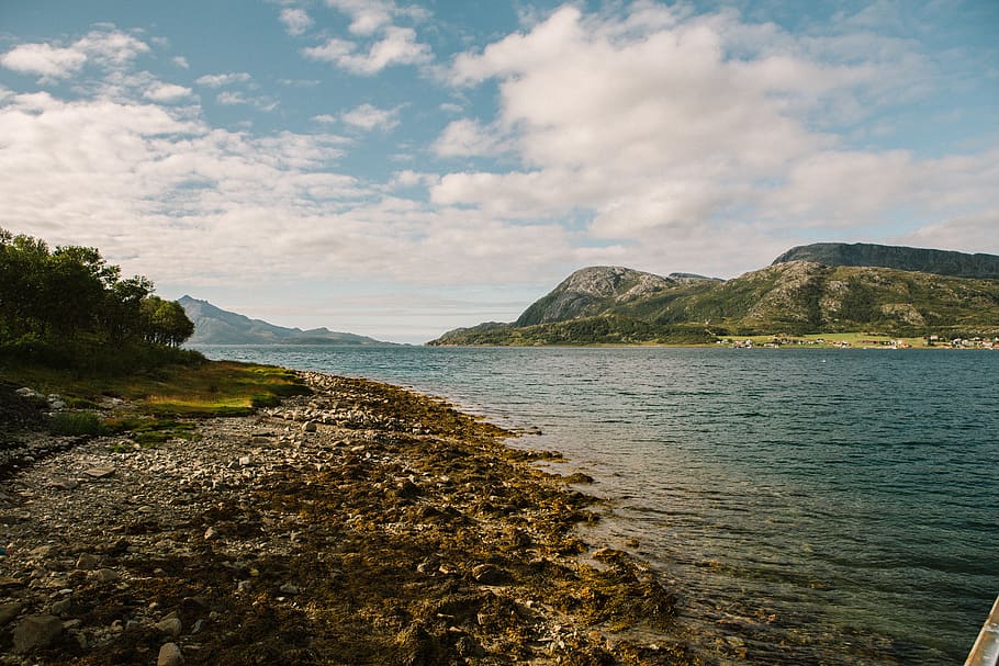 norway, kvaløya, trees, forest, water, kvaloya, beach, mountain HD wallpaper
