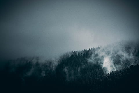 green trees with smoky mountain, forest, countryside, visual HD wallpaper
