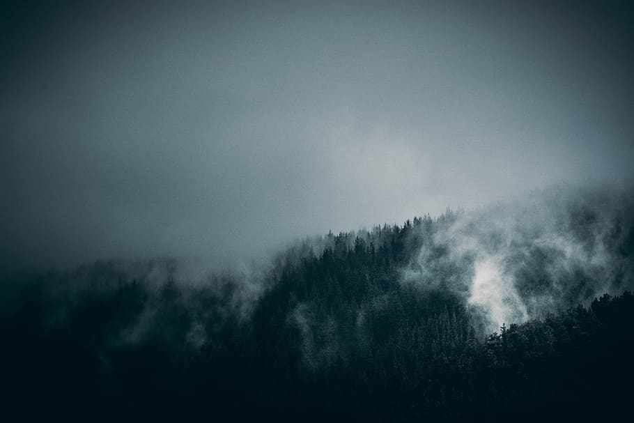 green trees with smoky mountain, forest, countryside, visual HD wallpaper