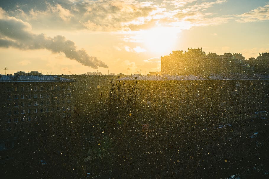 tree, trees, city, snow, cityscape, sun, cloud, sky, sunset HD wallpaper