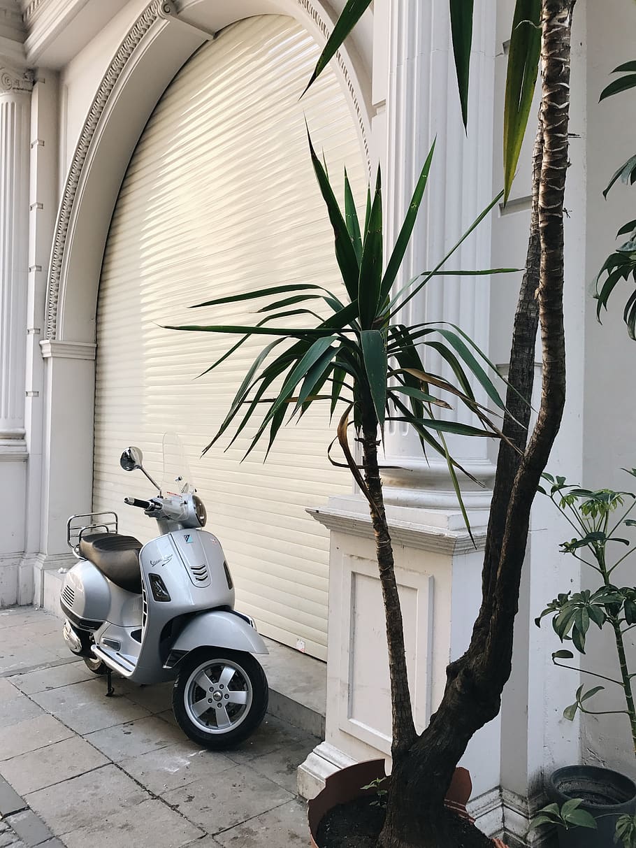 Black and Gray Motor Scooter Parked on White Roller Shutter, vespa, HD wallpaper