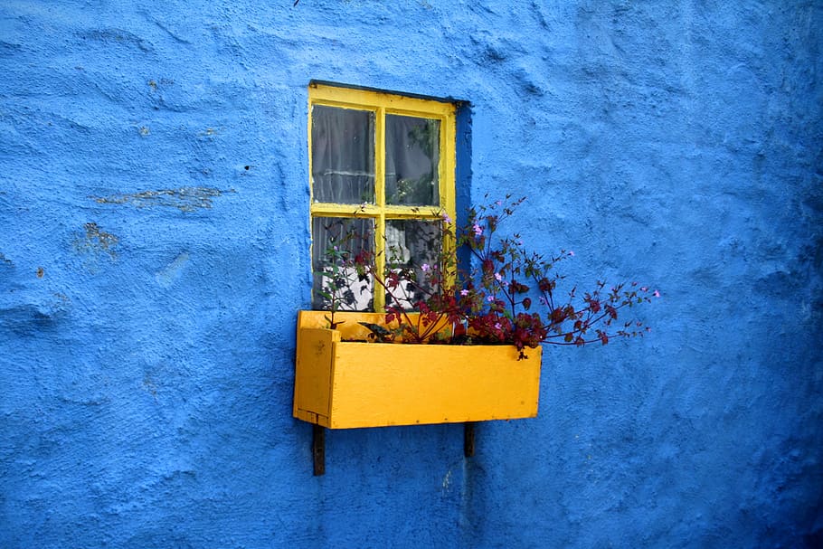 pot on window with flowers, yellow, built structure, building exterior HD wallpaper