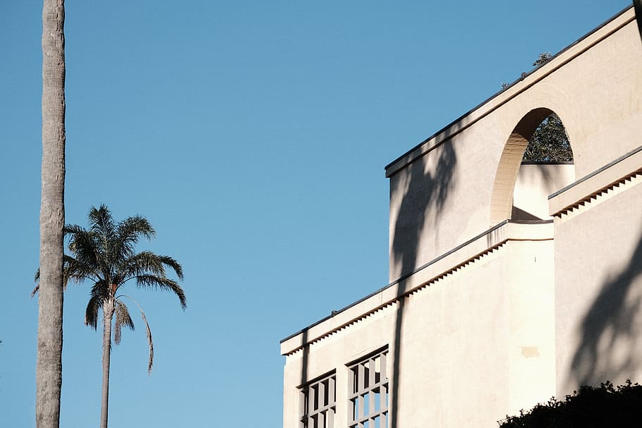 white building beside tree, architecture, built structure, building exterior HD wallpaper