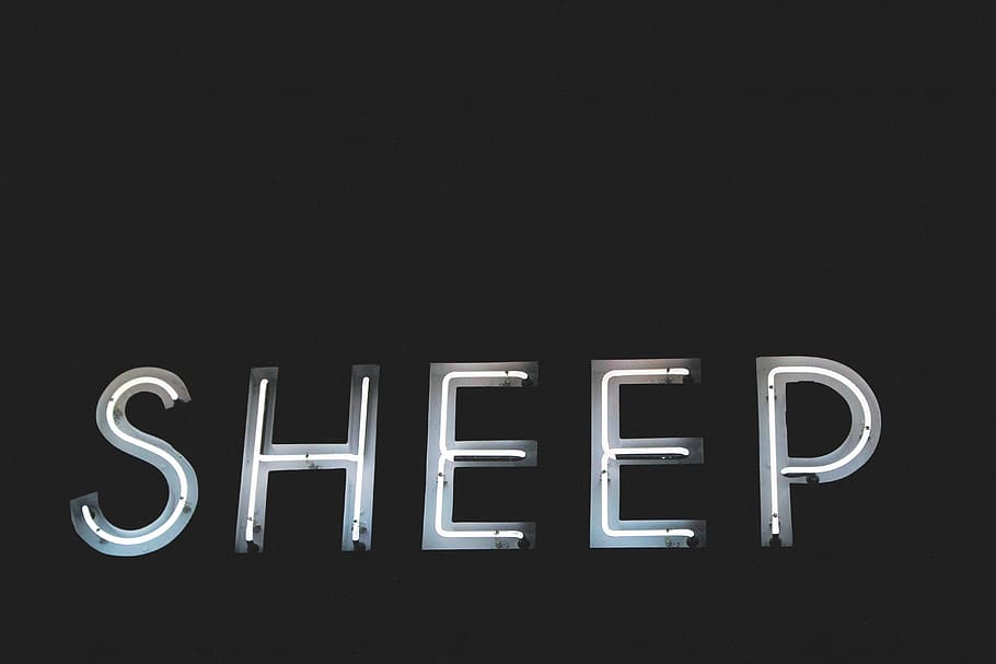 letters, font, sheep, light, dark, black and white, text, copy space HD wallpaper