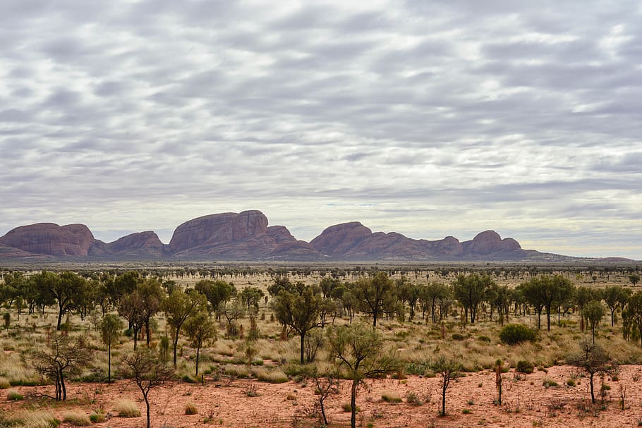 australia, uluru, uluru-kata tjuta national park, mountain, HD wallpaper