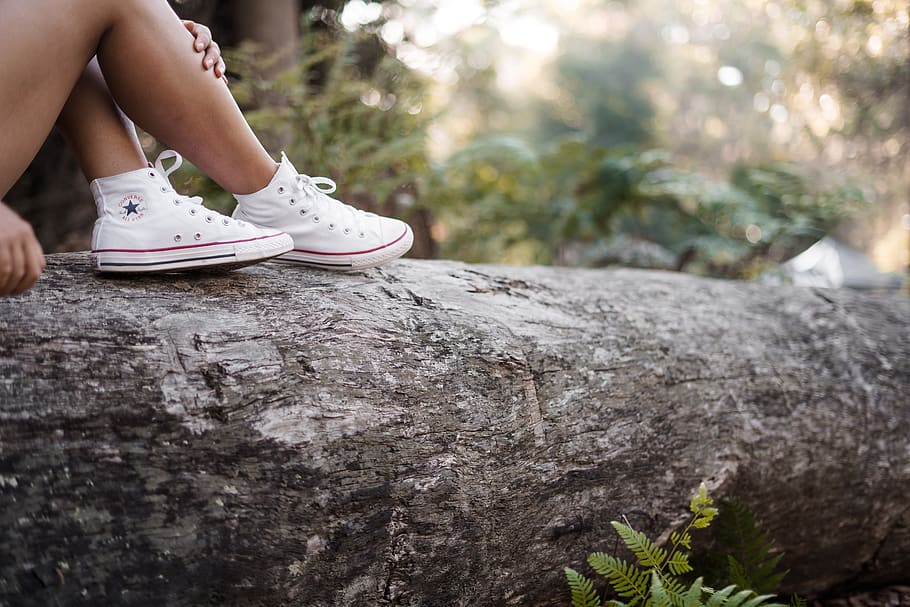 person in white All Star high tops sitting on tree trunk, apparel, HD wallpaper
