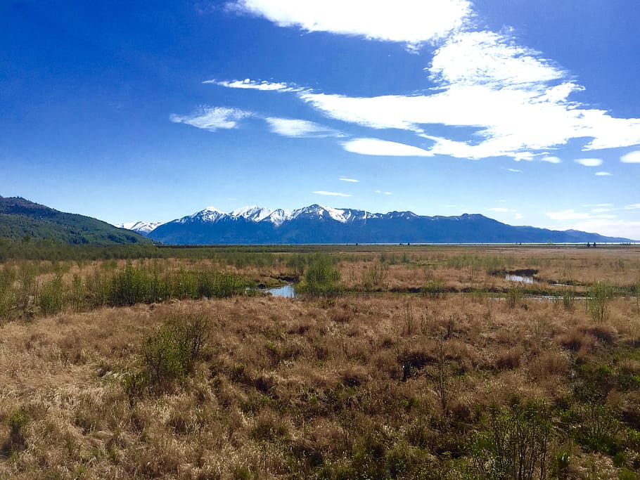 anchorage, united states, rabbit creek, alaska, mountain range, HD wallpaper