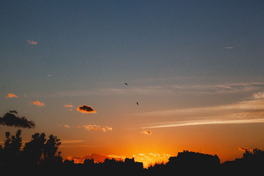 sky, sunset, silhouette, beauty in nature, flying, scenics - nature HD wallpaper