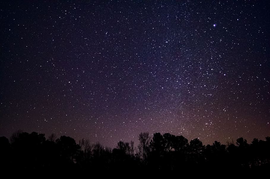 night, sky, gemini, meteor, shower, stars, landscape, trees
