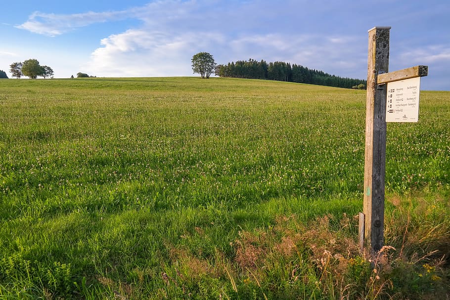 meadow, grass, directory, horizon, sky, landscape, hill, green HD wallpaper