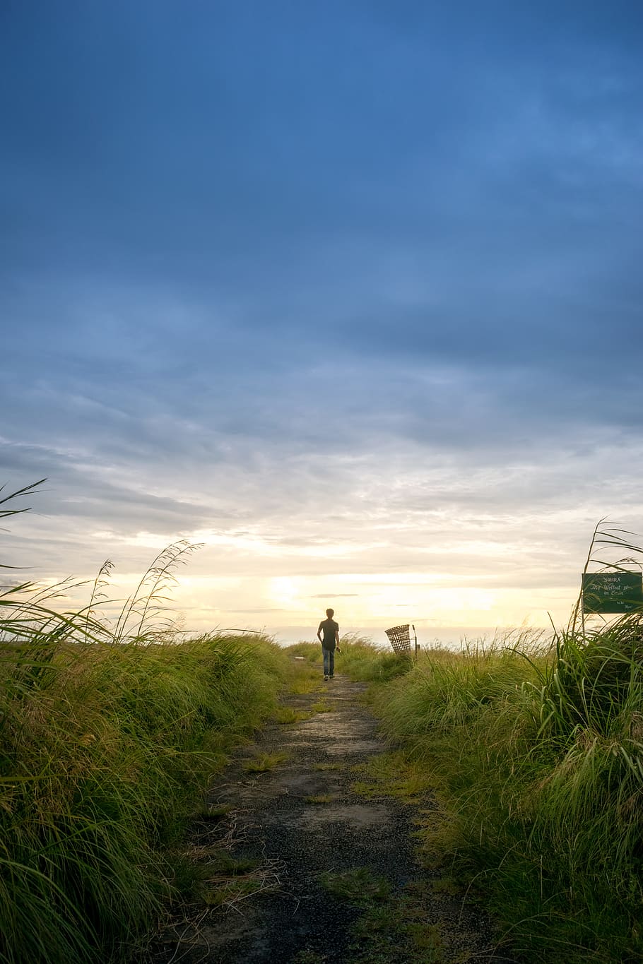 Person Wearing Black Shirt Walking Near Grass Field, clouds, countryside HD wallpaper