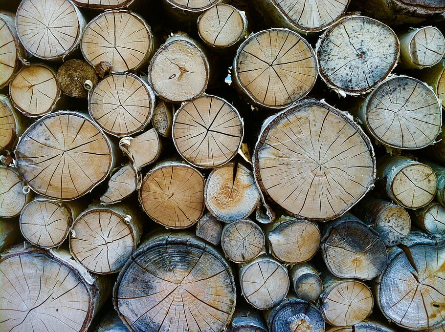Pile of Brown Logs, bark, chopped, dry, firewoods, industrial HD wallpaper