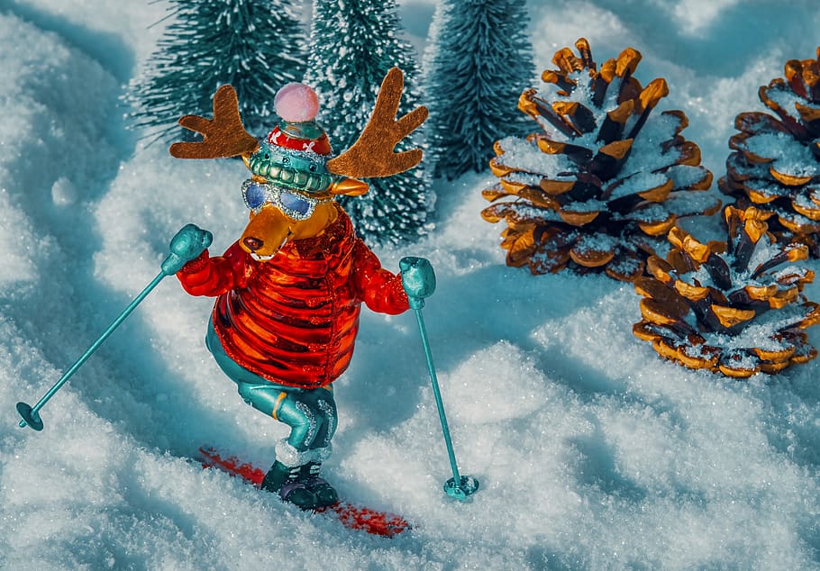 moose, figure, comic, reindeer, skiing, sport, alpine, snow HD wallpaper