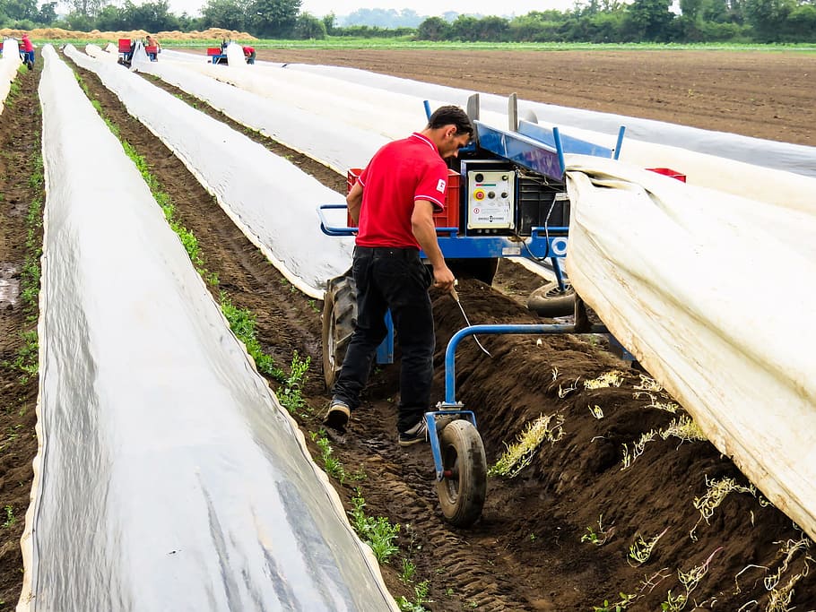 farming, tunnel, human, activity, work, worker, job, nature HD wallpaper