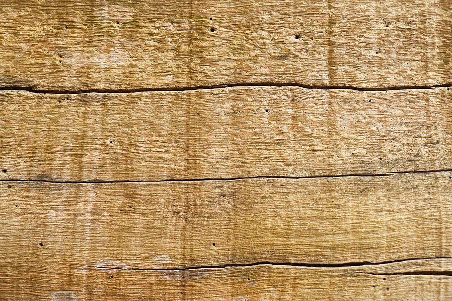 wood, tree, texture, abstract, backgrounds, textured, full frame HD wallpaper