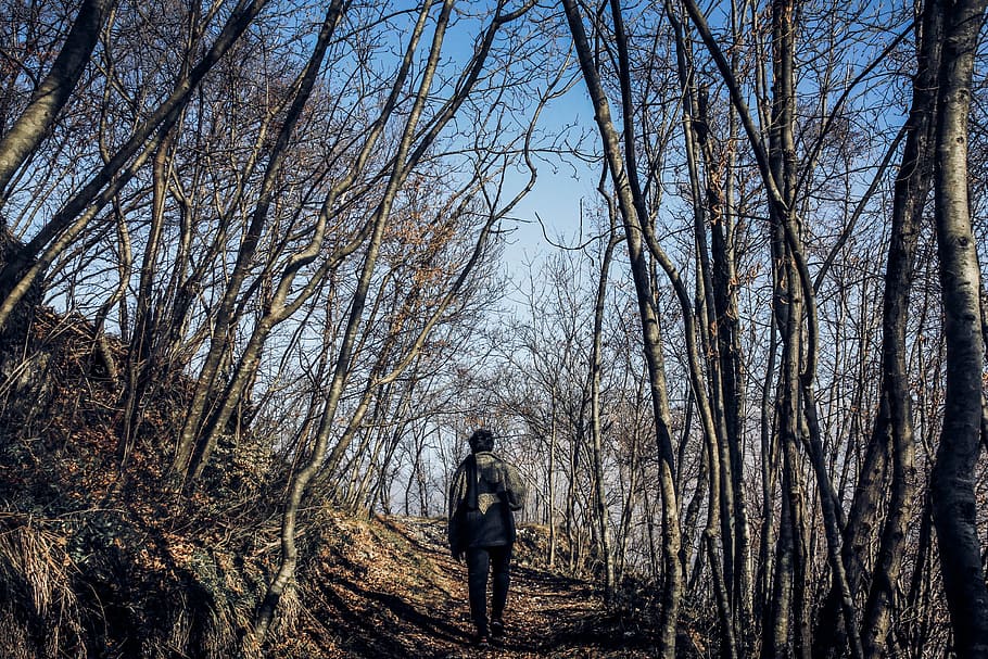 Man in Middle of Forest, alone, backpack, daylight, daytime, environment HD wallpaper