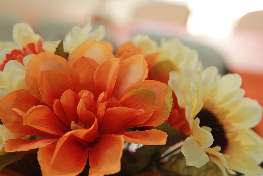 flowers, orange, wedding, flowering plant, vulnerability, fragility HD wallpaper