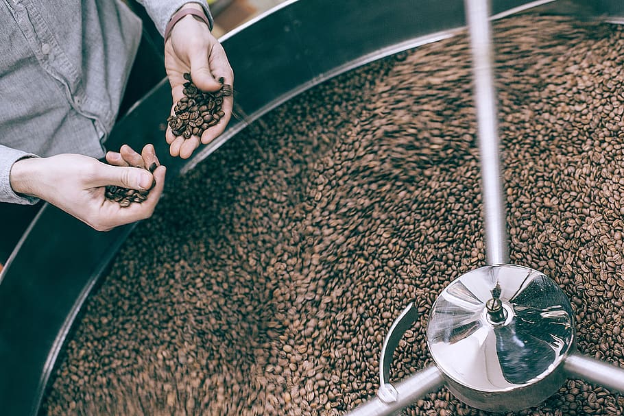 person holding coffee beans, human, plant, tattoo, skin, food HD wallpaper