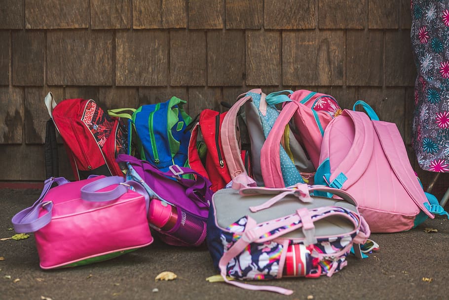Kid's Backpacks Photo, Children, School, Farm, Bag, Education
