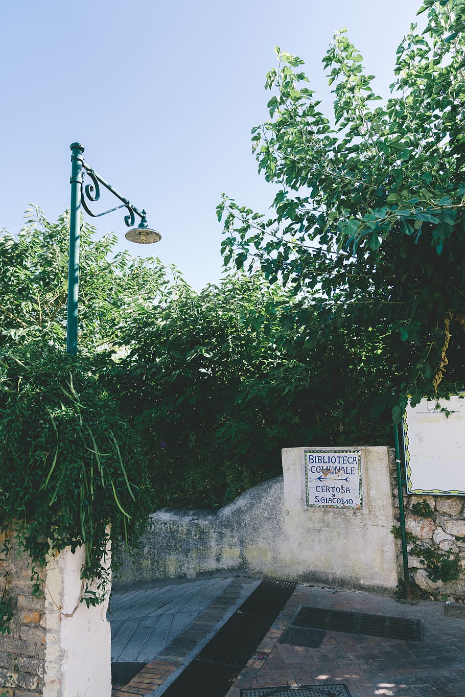 light, plants, lamppost, capri, vines, tree, built structure HD wallpaper
